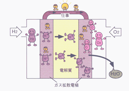 燃料電池概説図３